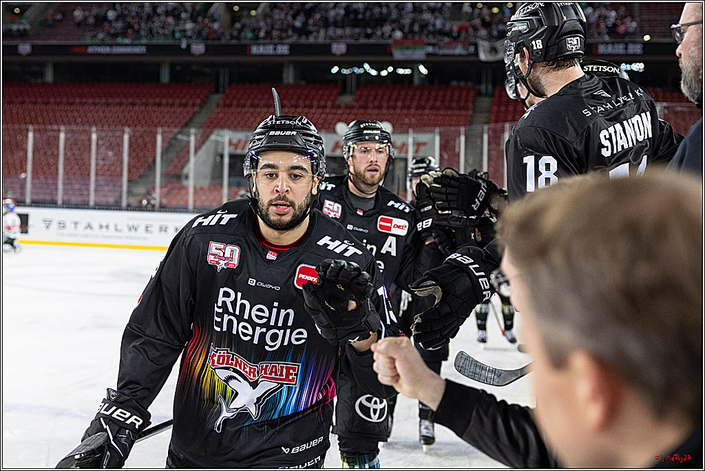 PENNY DEL;  Koelner Haie - Augsburger Panther; Koeln, 08.01.2023